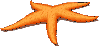 star-fish