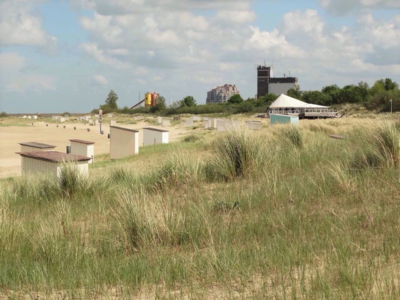 Strand van Breskens