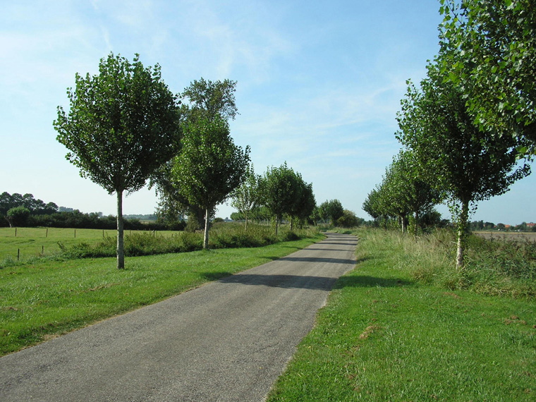 de polders rond Breskens