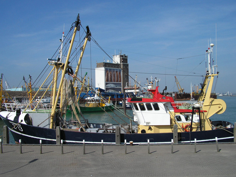 Vissersboot in Breskens